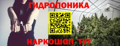 ПСИЛОЦИБИНОВЫЕ ГРИБЫ Боровичи